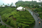 4D3N Jakarta Bandung Tour Package