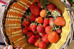 4D3N Jakarta Bandung Tour Package