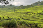 4D3N Jakarta Bandung Tour by WHOOSH Fast Train