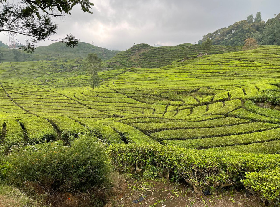 4D3N Jakarta Bandung Tour by WHOOSH Fast Train