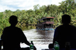 Orangutan Tour in Tanjung Puting National Park 4D3N