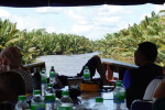 Orangutan Tour in Tanjung Puting National Park 4D3N