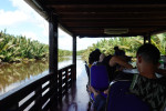 Orangutan Tour in Tanjung Puting National Park 4D3N