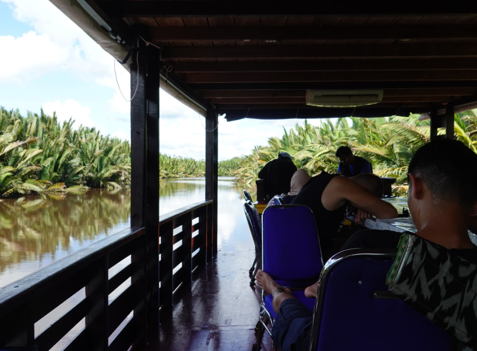 Orangutan Tour in Tanjung Puting National Park 4D3N
