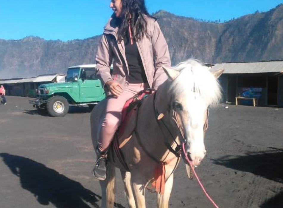 Bromo Day Tour from Malang