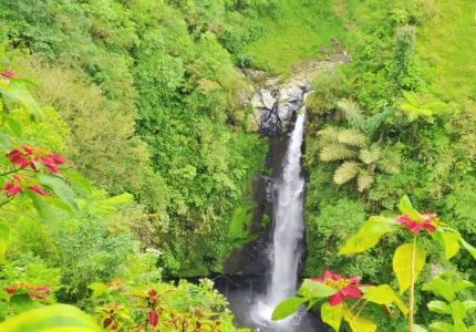 Kedung Kayang Waterfall and Merapi Jeep Volcano Tours