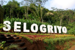 Trekking to Selogriyo Temple and Kedung Kayang Waterfall
