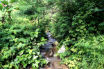 Trekking to Selogriyo Temple and Kedung Kayang Waterfall