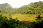 Trekking to Selogriyo Temple and Kedung Kayang Waterfall