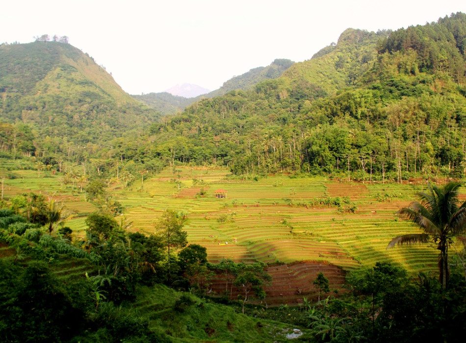 Trekking to Selogriyo Temple and Kedung Kayang Waterfall