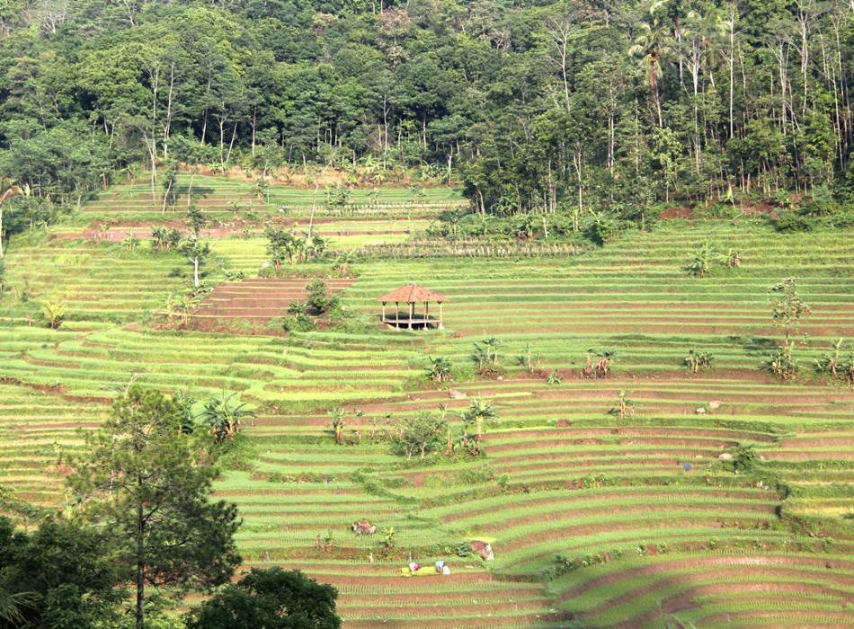 Trekking to Selogriyo Temple and Kedung Kayang Waterfall