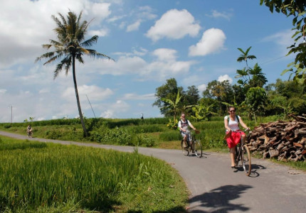 Yogyakarta: Bicycle Tour to Traditional Village with Transfer