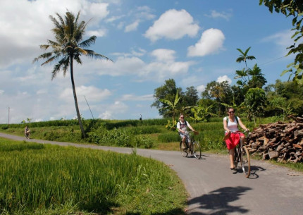 Yogyakarta: Bicycle Tour to Traditional Village with Transfer