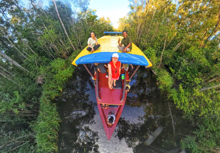 Orangutan Tour in Tanjung Puting National Park 2D1N