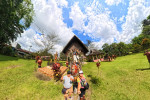 Orangutan Tour in Tanjung Puting National Park 2D1N