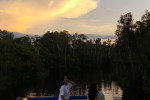 Orangutan Tour in Tanjung Puting National Park 2D1N
