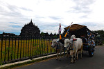 Ox Cart Riding Tour Through Villages in Prambanan Countryside