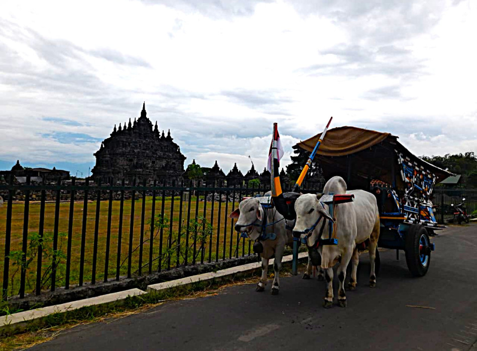 Ox Cart Riding Tour Through Villages in Prambanan Countryside