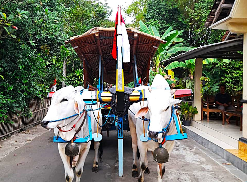 Ox Cart Riding Tour Through Villages in Prambanan Countryside