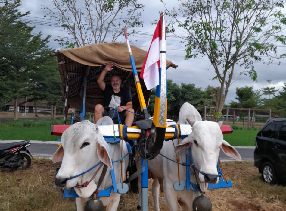 Ox Cart Riding Tour Through Villages in Prambanan Countryside