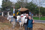 Ox Cart Riding Tour Through Villages in Prambanan Countryside