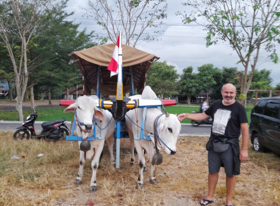 Ox Cart Riding Tour Through Villages in Prambanan Countryside